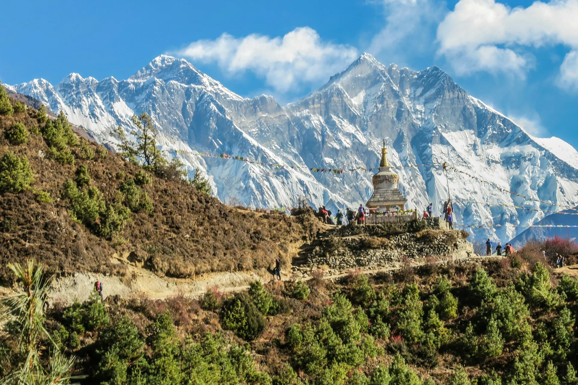 Himalayan hills and forest